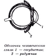 Тромбоз центральной ретинальной вены