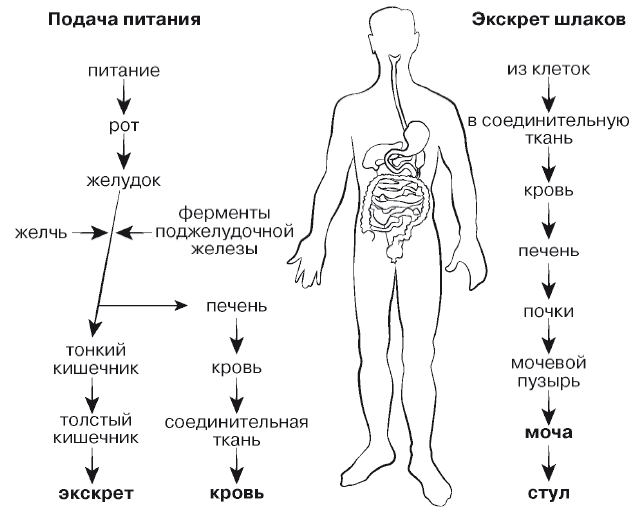 Рис. 2. 