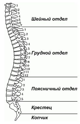 Рис. 1