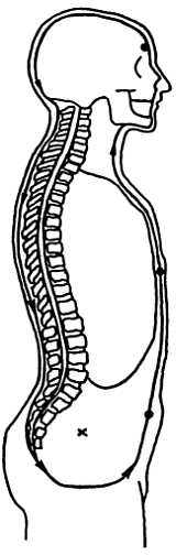 Рис. 6–3.