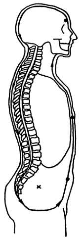 Рис. 6–3.