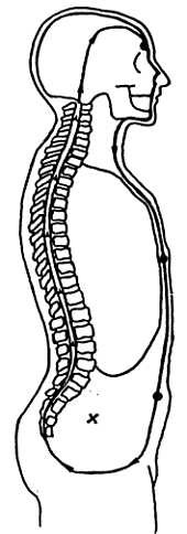 Рис. 6–4.