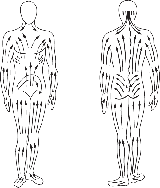 Рис. 1. Направление <a href='https://med-tutorial.ru/m-lib/b/book/3727216196/4' target='_self'>массажных движений</a>