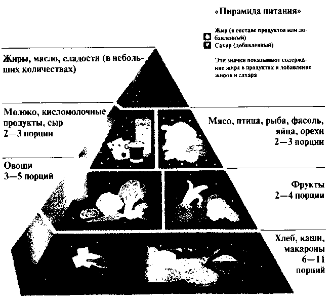 ДВЕ ОЧЕНЬ РАЗНЫЕ «ПИРАМИДЫ ПИТАНИЯ»