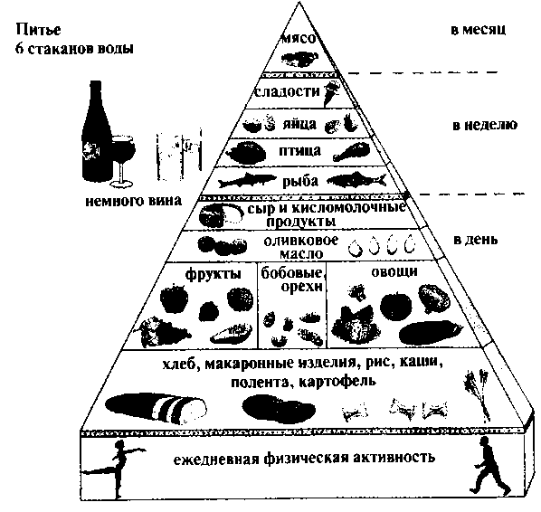 ДВЕ ОЧЕНЬ РАЗНЫЕ «ПИРАМИДЫ ПИТАНИЯ»