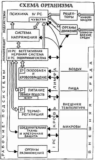 Глава III. Наука о механизмах болезней и здоровья