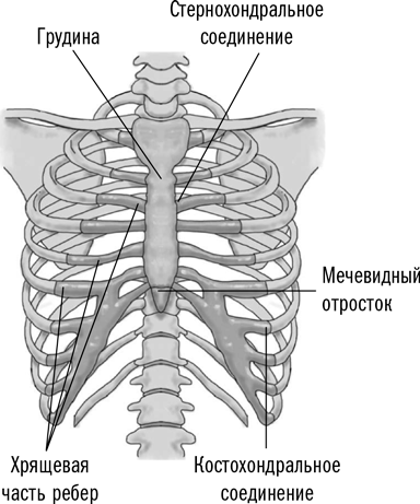 Другие причины боли в груди