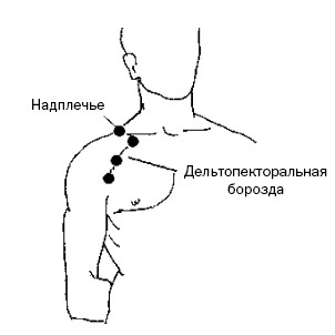 Зона грудной клетки