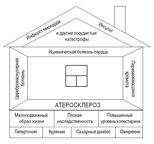 Глава 3 Научно обоснованное гадание. Как самостоятельно спрогнозировать продолжительность жизни?