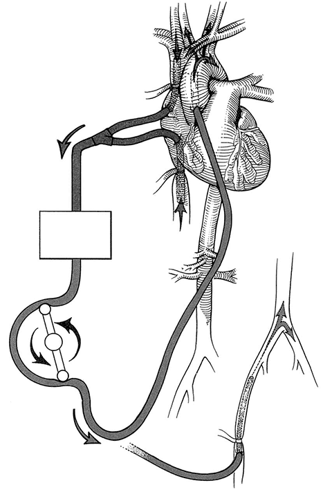 Рисунок 5.3.