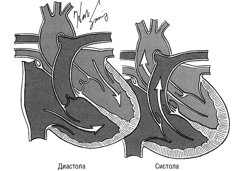 Рисунок 7.1.