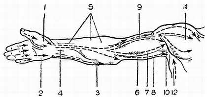 Рис. 95.