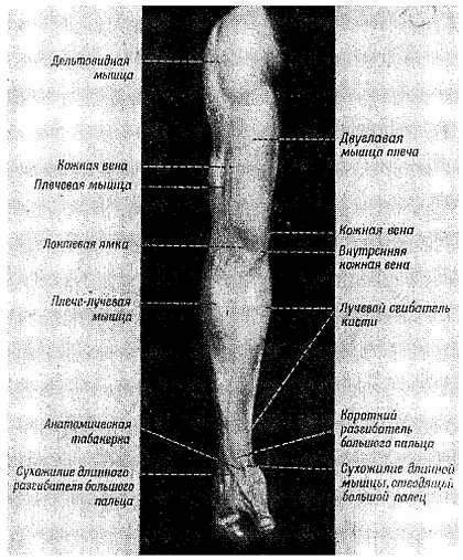 Рис. 97.