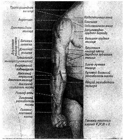 Рис. 98.