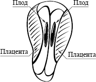 Рис. 2. 