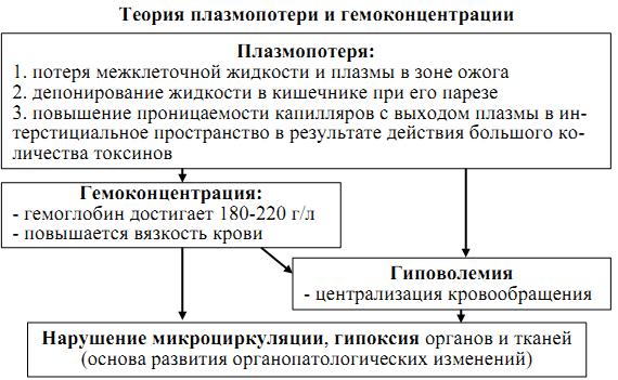 Роль плазмопотери, нервных, токсических, эндокринных, инфекционных, аутоиммунных факторов в развитии ожоговой болезни