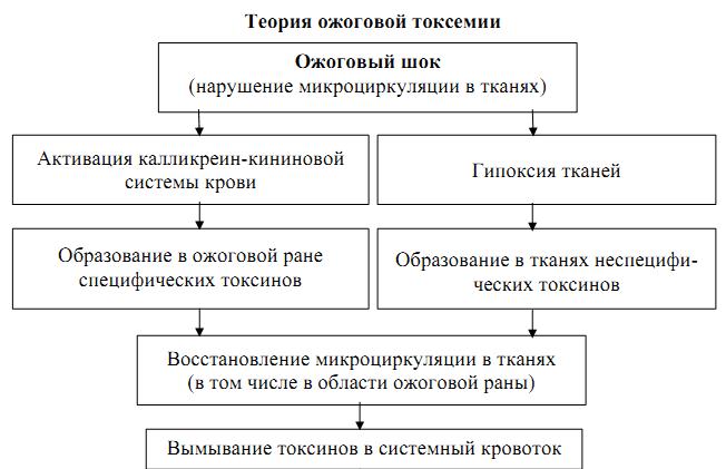 Роль плазмопотери, нервных, токсических, эндокринных, инфекционных, аутоиммунных факторов в развитии ожоговой болезни