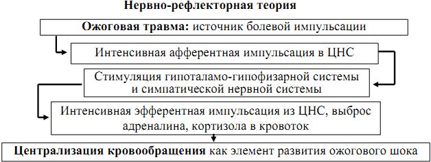 Роль плазмопотери, нервных, токсических, эндокринных, инфекционных, аутоиммунных факторов в развитии ожоговой болезни