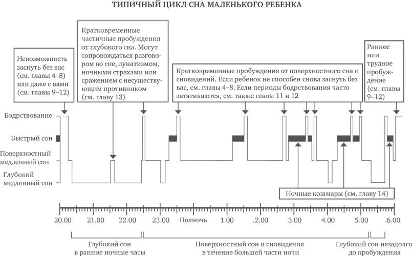 Циклы сна у детей