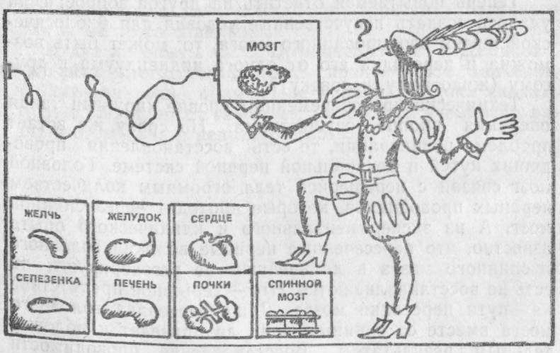 МОЖНО ЛИ ПЕРЕСАДИТЬ МОЗГ?