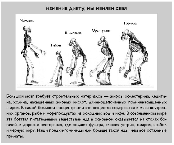 Отдел собачьей еды