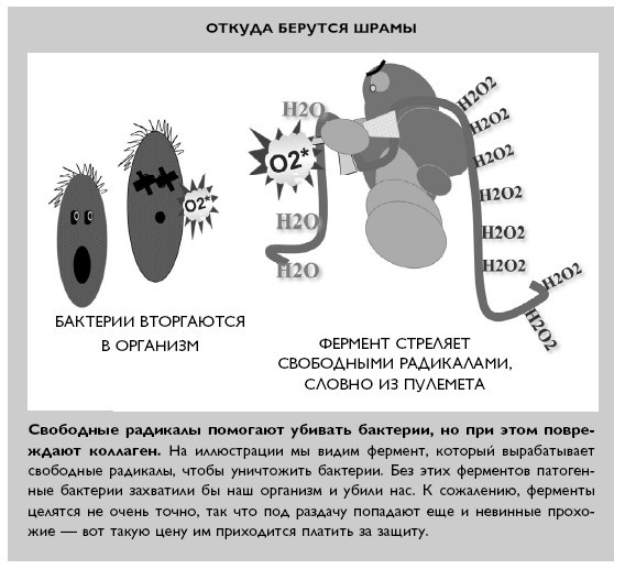 Красная сыпь: красная тревога, сигнализирующая о дисбалансе питания