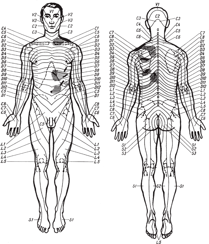 Рис. 119.