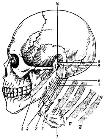 Рис. 151.