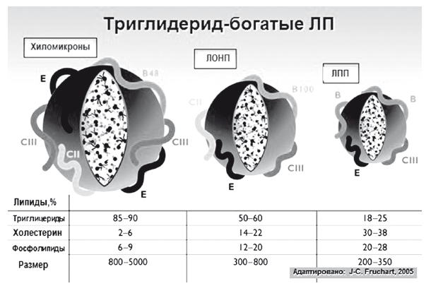 Рис. 10. 