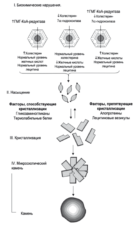 Рис. 14. 