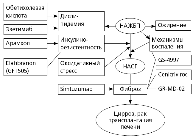 Рис. 40. 