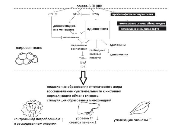 Рис. 44. 