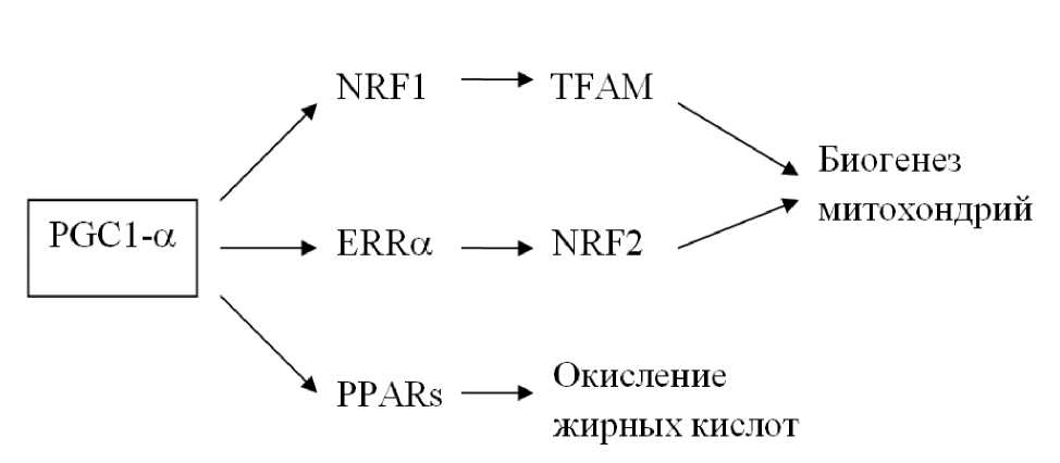 Рис. II-6.1. 